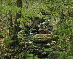 Nature is First in Great Falls